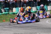 20110501_ales_agnus (3125)